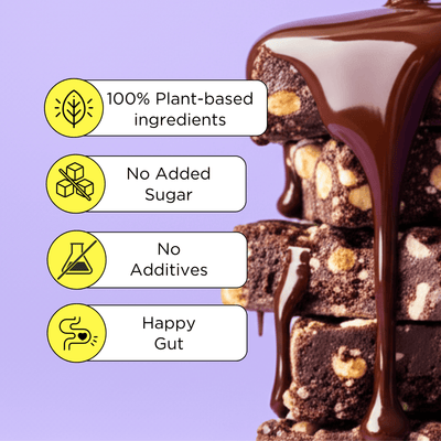 Dark Cocoa Hazelnut Vegan Energy Bar - Pack of 10