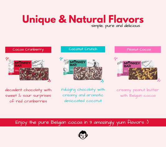 Protein Bars - Choco Lover - 16x50g